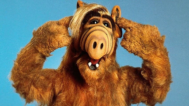 gallery/alf